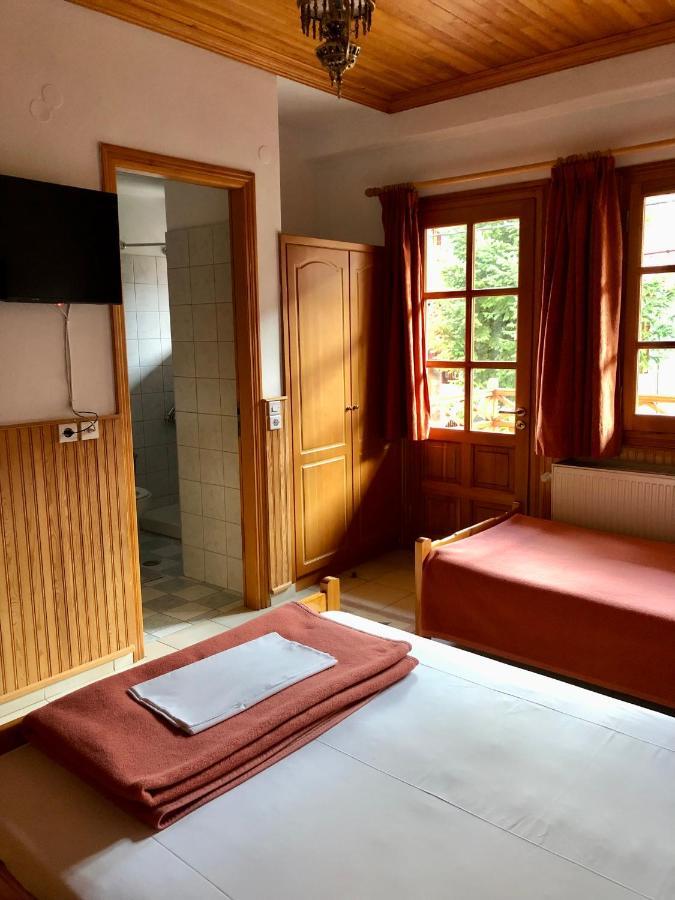 Apostolos Hotel Metsovo Exterior foto