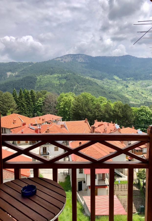 Apostolos Hotel Metsovo Exterior foto